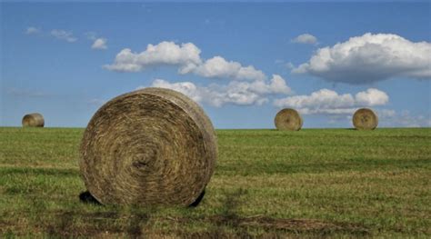 The difference between square, round hay bales | Morning Ag Clips