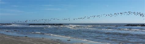 Grand Isle Beach, Louisiana - 14 Reviews, Map | AllTrails