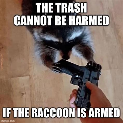 You see Ivan, when give raccoon gun, you always ready for fight, for ...