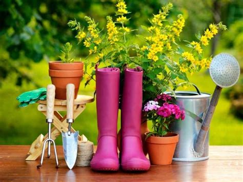 Basic Gardening Tools for Beginners - A List of Must Haves