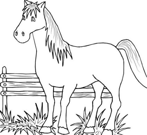 Farm Animals Coloring Page | ColoringMe.com