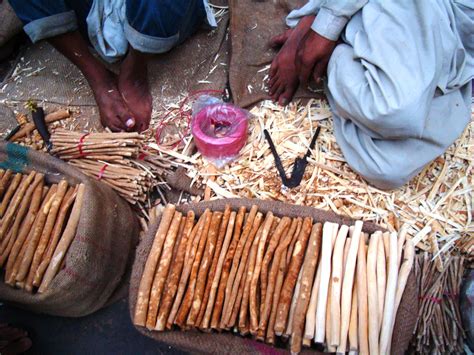 Delhi Magic: Meswak at Nizamuddin Basti, Delhi