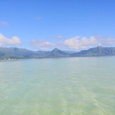 OUTDOOR-HAWAII Sandbar Tour (Honolulu) - All You Need to Know BEFORE You Go