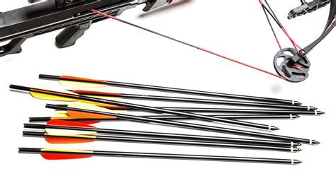 Six of the Best Crossbow Bolts For Hunters | Crossbow Nation