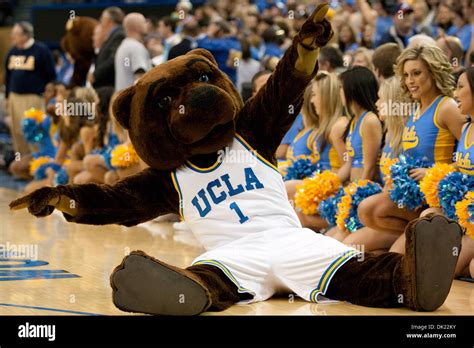 Feb. 2, 2011 - Westwood, California, U.S - UCLA mascot Joe Bruin fools around before the start ...