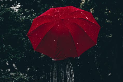 Guide to Rain Photography (+8 CREATIVE ideas!)