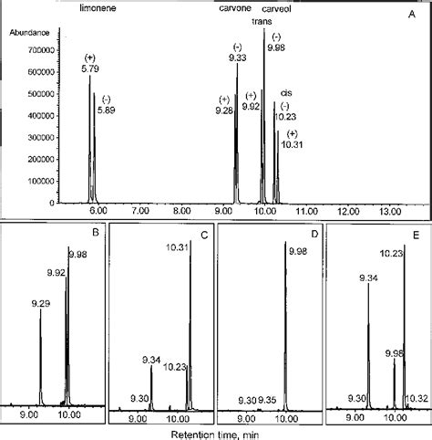 Figure 3 from Biosynthesis of the monoterpenes limonene and carvone in the fruit of caraway. I ...