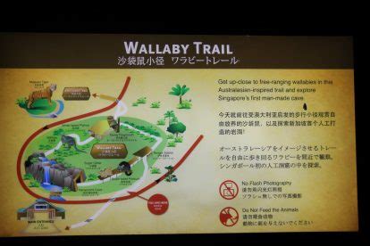 Singapore Zoo Night Safari Map - Holiday Tour