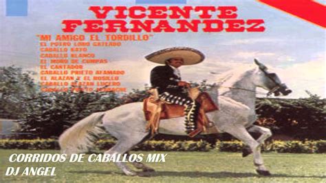 Caballos De Vicente Fernandez | www.pixshark.com - Images Galleries With A Bite!