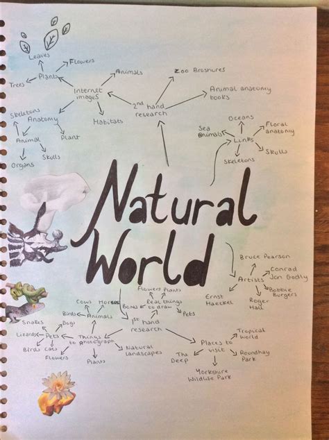 GCSE art 'Natural world ':ideas page | Gcse art, Gcse art sketchbook ...