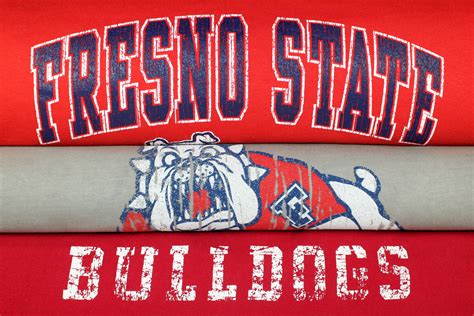 Fresno State Bulldogs 20x30 | Worn But Not Forgotten Sports Art