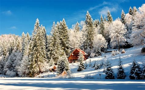 Download Tree Snow Winter Forest Man Made Cabin HD Wallpaper