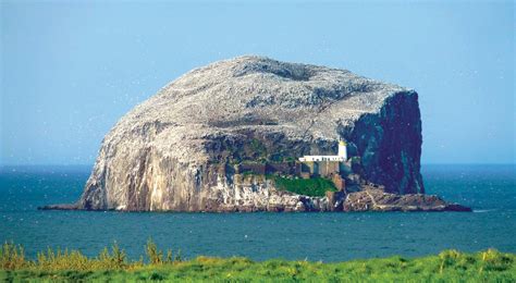 Bass Rock | Seabird Colony, Lighthouse, Nature Reserve | Britannica