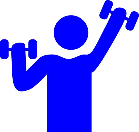 Gym Weight Lifting Muscle · Free vector graphic on Pixabay