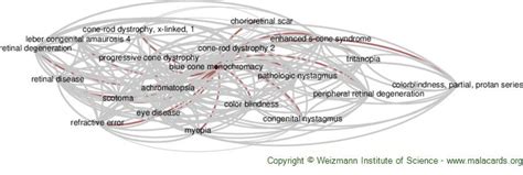 Blue Cone Monochromacy disease: Malacards - Research Articles, Drugs ...