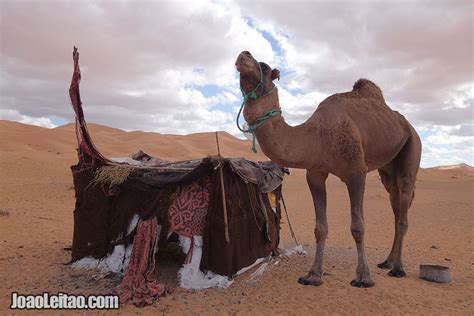 Nomads of Morocco - Sahara Desert nomadic life