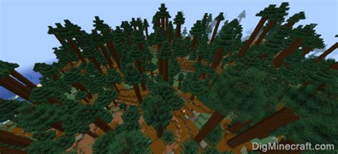 Minecraft Forest Seeds for Java Edition (PC/Mac)