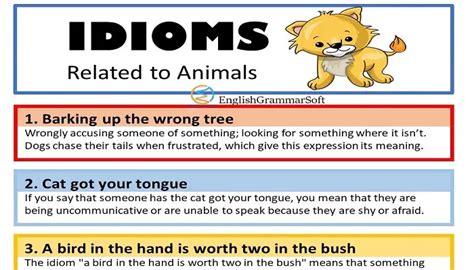 15 Idioms Related to Animals - EnglishGrammarSoft