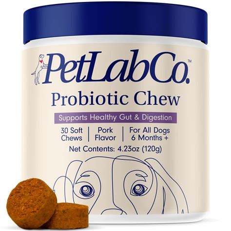 Buy PetLab Co. Probiotics for Dogs - Support Gut Health, Itchy Skin ...