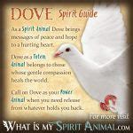 Dove Symbolism & Meaning | Spirit, Totem & Power Animal