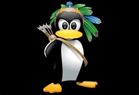 The Story Behind Linux Logo Tux the Penguin | DsgnStory