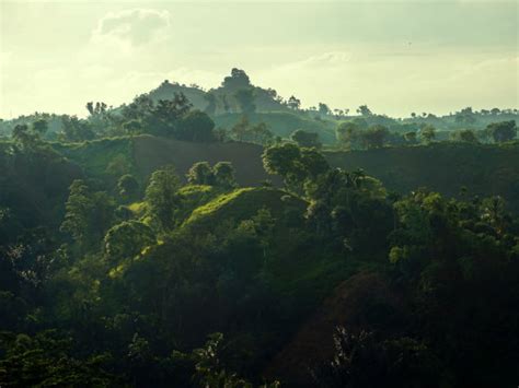 To The Incredible Wilson Hills In The Western Ghats - Nativeplanet