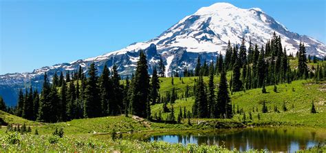 Mt. Rainier is an active volcano! | American Elephants