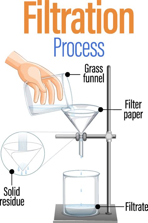 Diagram showing filtration process 19851588 Vector Art at Vecteezy