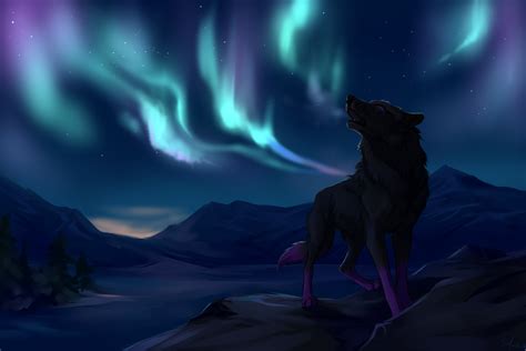 Northern Lights by Innali on DeviantArt