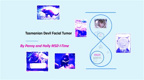 Tasmanian Devil Facial Tumor by Nicole Begg