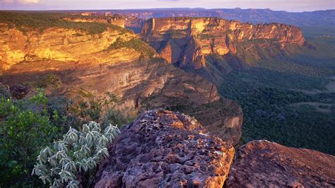 DISCOVER THE BRAZIL: Brazil: Mato Grosso State