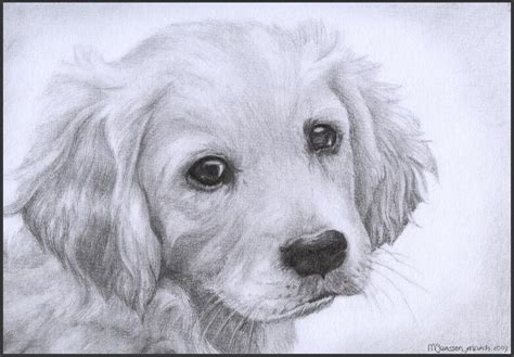 Golden Retriever Puppy by WiccanSoul on DeviantArt