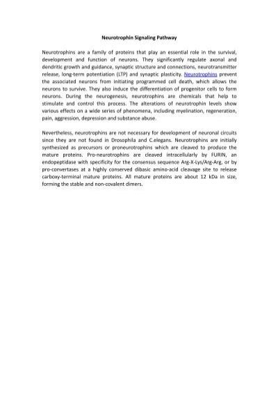 Neurotrophin Signaling Pathway