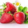 Strawberry Plants Malling Centenary Five X Plant Pots By Acqua Garden