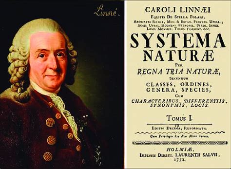 Carolus Linnaeus and the title page of Systema Naturae (1758). | Download Scientific Diagram