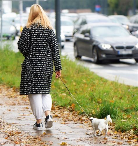 Woman Dog Sidewalk - Free photo on Pixabay - Pixabay