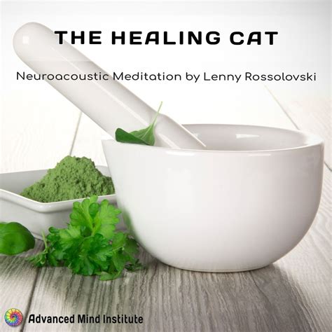 The Healing Cat