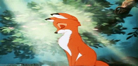 The Fox And The Hound GIFs - Find & Share on GIPHY