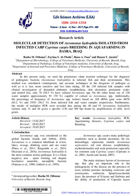 (PDF) MOLECULAR DETECTION OF Aeromonas hydrophila ISOLATED FROM INFECTED CARP Cyprinus carpio ...