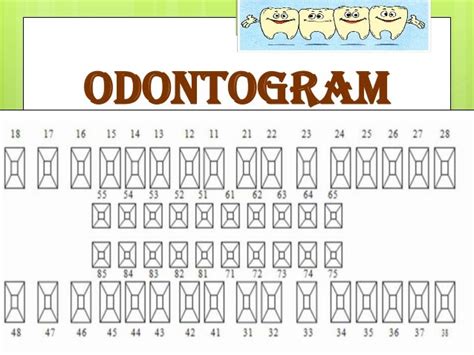 Download Gambar Odontogram Gigi - Koleksi Gambar HD