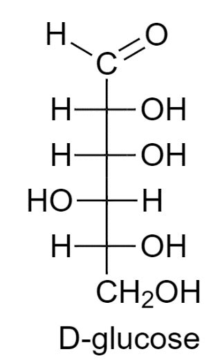 draw the fischer projection for l-glucose - kimkruger