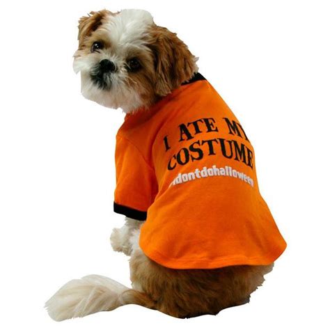 I Ate My Costume Dog Halloween Shirt + FREE Target Gift Card | Woof Woof Mama | Dog halloween ...