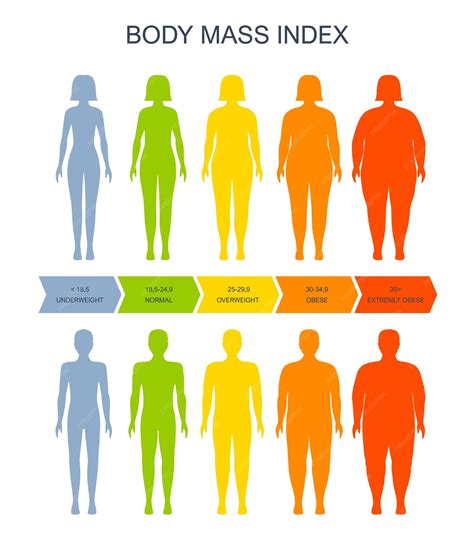 Premium Vector | Body mass index chart bmi of man and woman scale