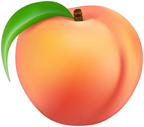 peach clipart png 10 free Cliparts | Download images on Clipground 2025