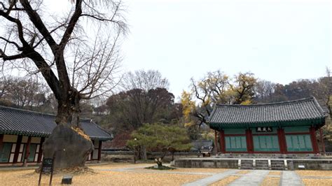 10 Best Things To Do in Jeonju | Contiki