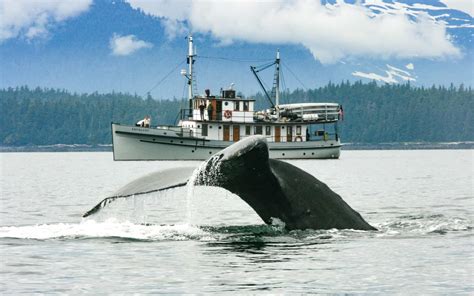 Alaska Small Ship Cruises - Best Selection & How to Choose