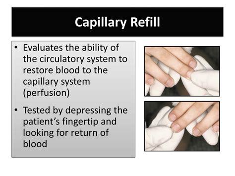 PPT - Baseline Vital Signs and SAMPLE History PowerPoint Presentation, free download - ID:2135015