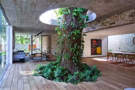 Falling Water House Interior