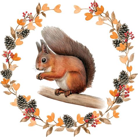 Watercolor realistic red squirrel in a fall wreath 3245113 Vector Art ...