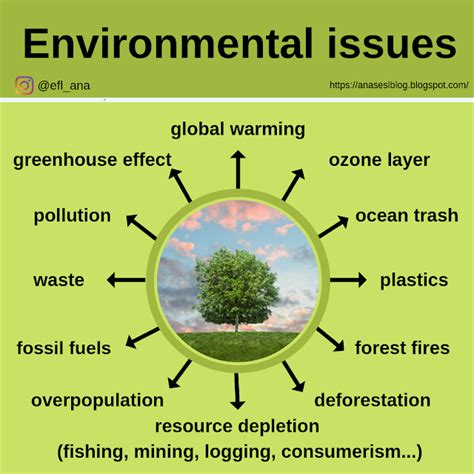 Ana's ESL blog: Environmental issues